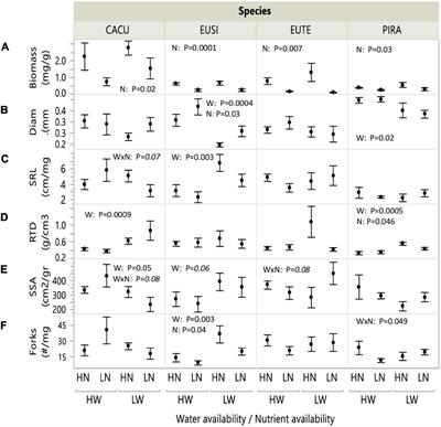 Drought Impacts on Tree Root Traits Are Linked to Their Decomposability and Net Carbon Release